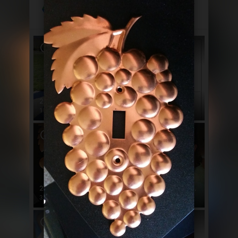 Grape Design Single Switch Plate Solid Copper  Blue Art Metal USA